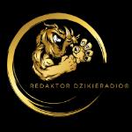  Autor  