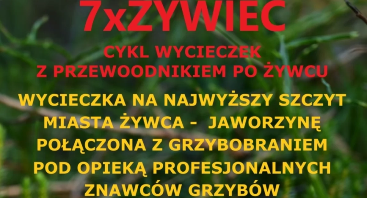 Pozostałe, Górska wyprawa Jaworzynę szlakiem Żywiec” - zdjęcie, fotografia