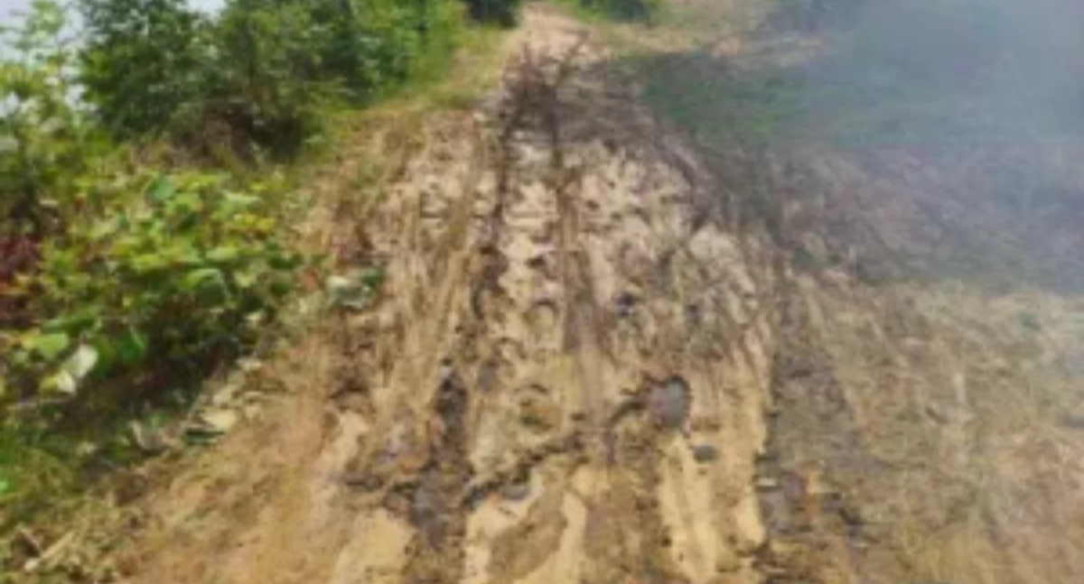 Biznes, Postępy pracach ścieżce pieszo rowerowej Żywcu - zdjęcie, fotografia