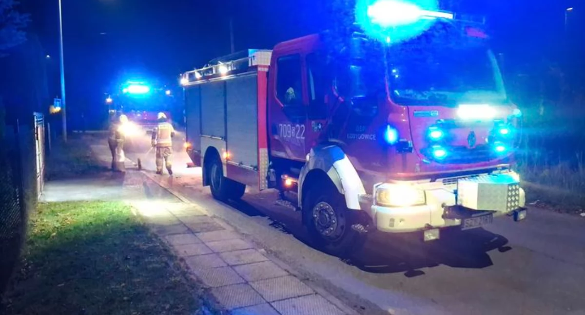 Fot.Ochotnicza Straż Pożarna w Łodygowicach