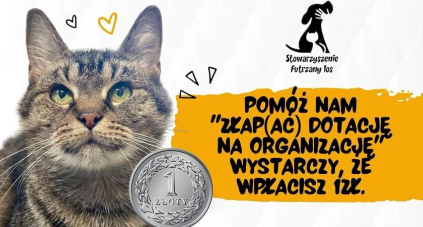 Fot. Schronisko dla zwierząt w Żywcu 