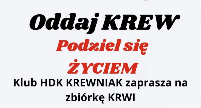 Fot. PCK ŻYWIEC 