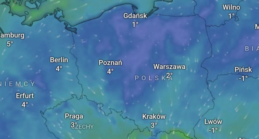 Fot. Dzikie Radio 
