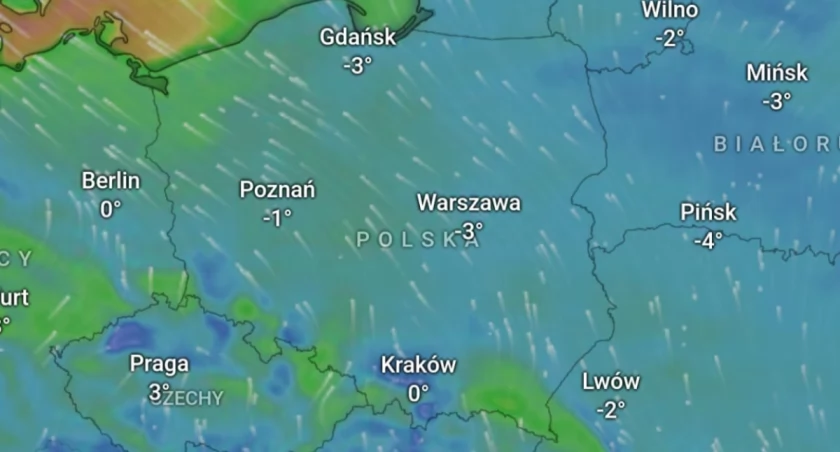 Fot.DzikieRadio