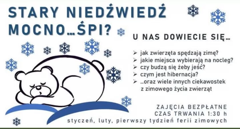 Fot. Miasto Żywiec 