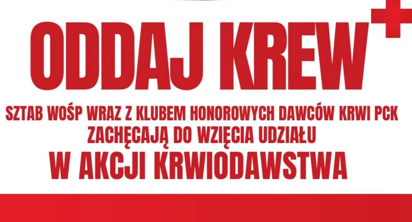 Fot. Hufiec ZHP Węgierska Górka 