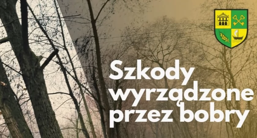 Fot. Gmina Łodygowice