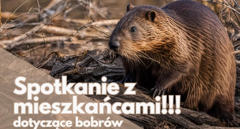 Fot. UG Łodygowice 
