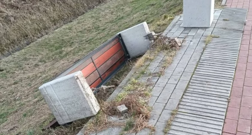 Fot. WGK Urzędu Miejskiego w Żywcu 