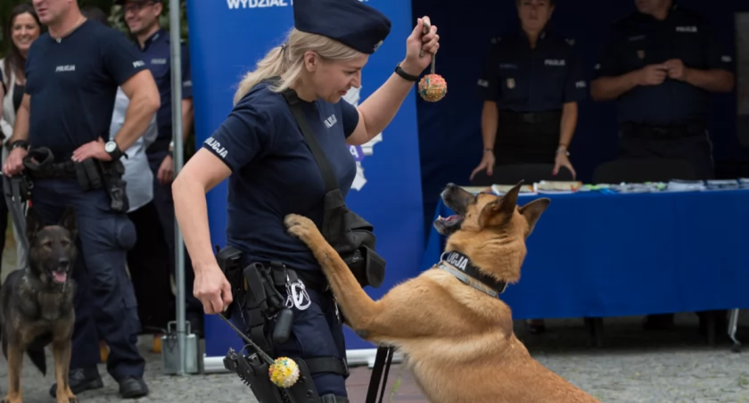 Fot. policja.pl