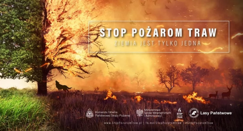 Fot. Komenda Główna  Straży Pożarnej 