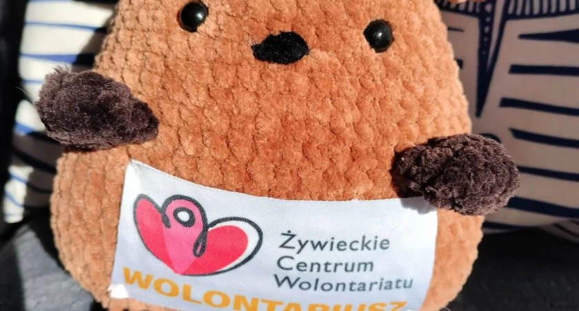 Fot. Żywieckie Centrum Wolontariatu