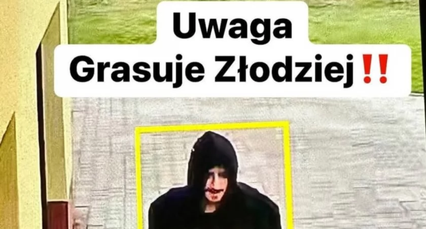 Fot. Łukasz Hańderek 