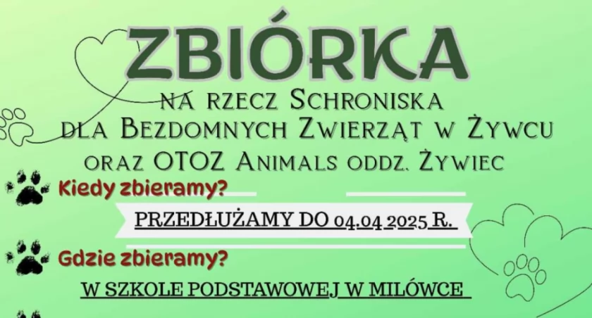 Fot. Szkoła Podstawowa w Milówce