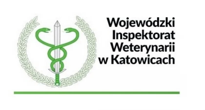 Fot. WIW w Katowicach 
