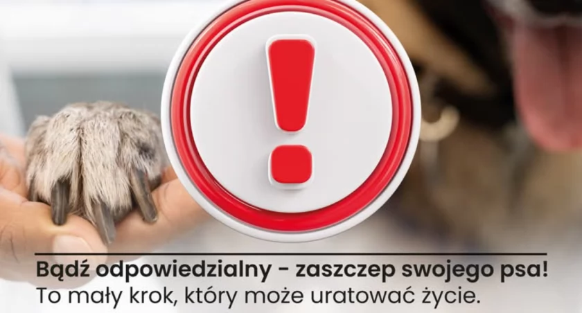 Fot. Miasto Żywiec 
