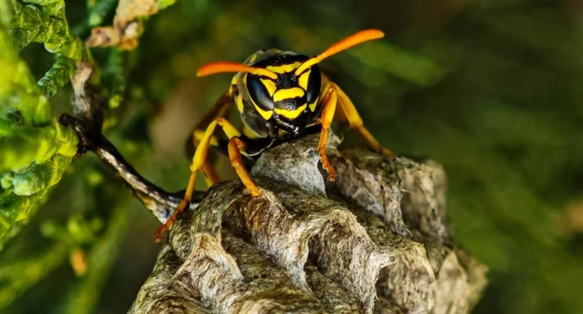 fot. Michał Kaczmarek