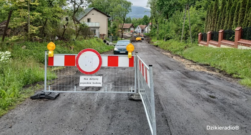 DzikieRadio®