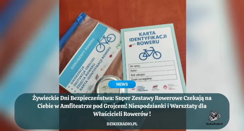Fot. Żywieckie Centrum Wolontariatu