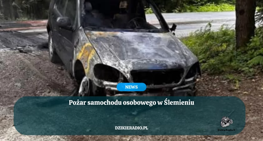 fot. OSP Ślemień 