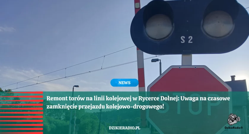 Fot. Dzikieradio.pl