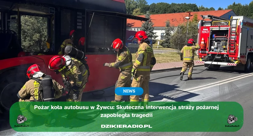 fot. Piotr Kliś/KP PSP Żywiec