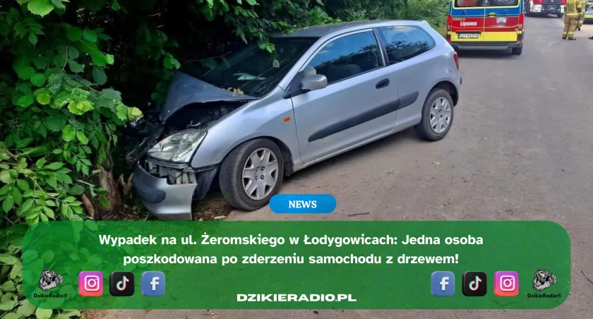 Fot. OSP Łodygowice