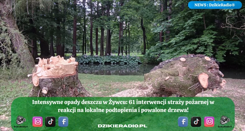 Fot. Dzikieradio.pl