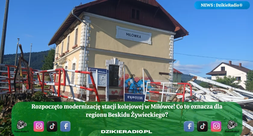 Fot. Dzikieradio.pl