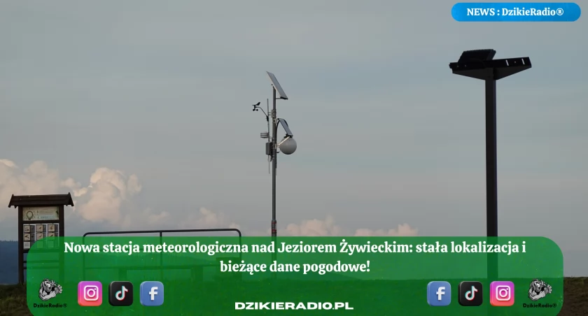 Fot. Mateusz Lubecki