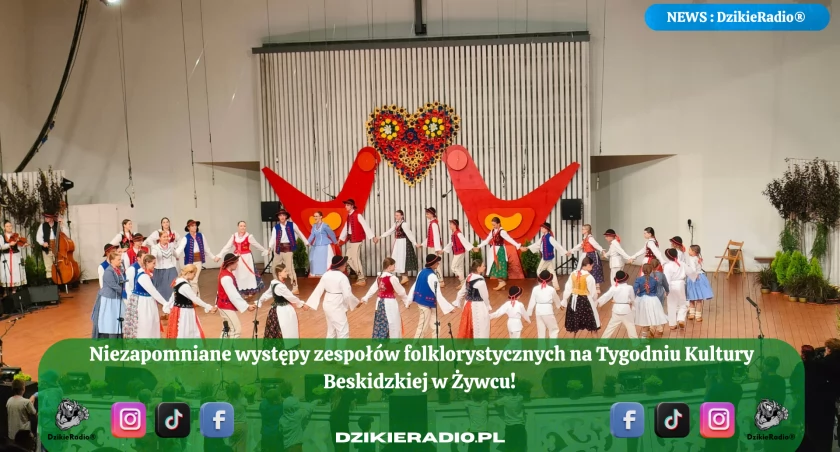 Fot. Dzikieradio.pl