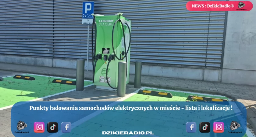 Fot DzikieRadio®