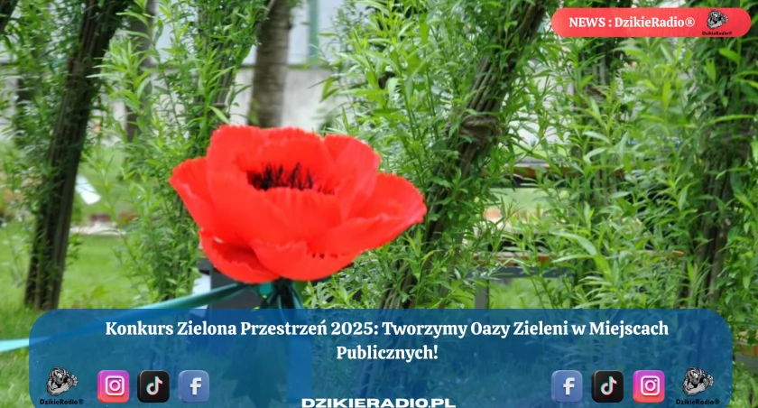 Fot. Dzikieradio.pl
