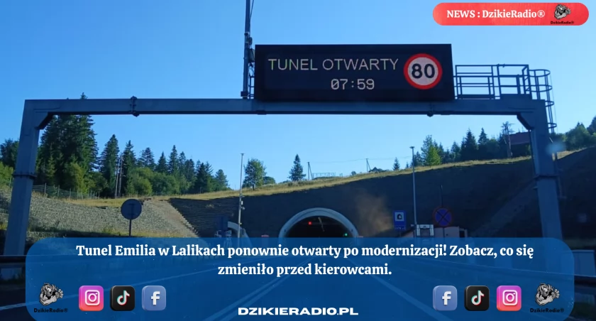 Fot. Dzikieradio®