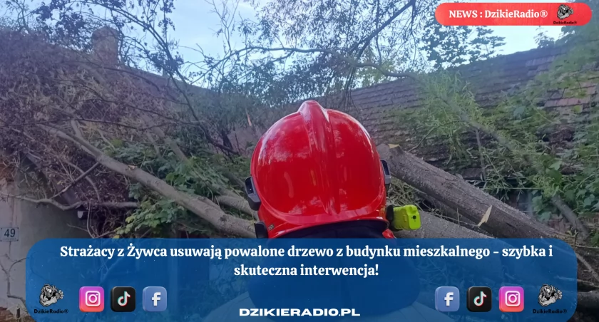 Fot. OSP Oczków