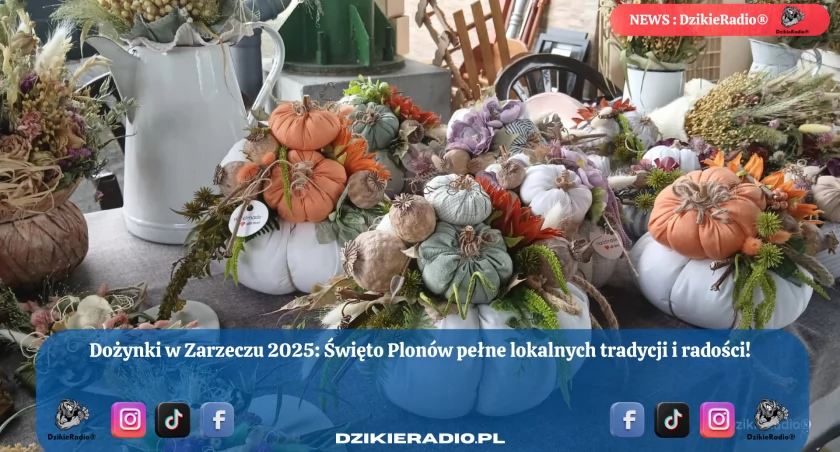 Fot. Dzikieradio.pl