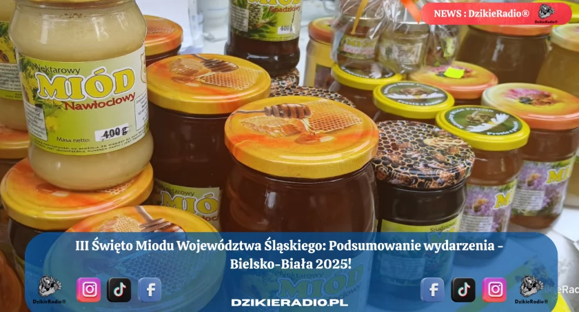 Fot. Dzikieradio.pl