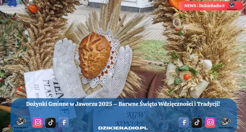 Fot. Dzikieradio.pl