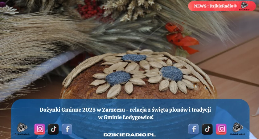 Fot. Dzikieradio.pl