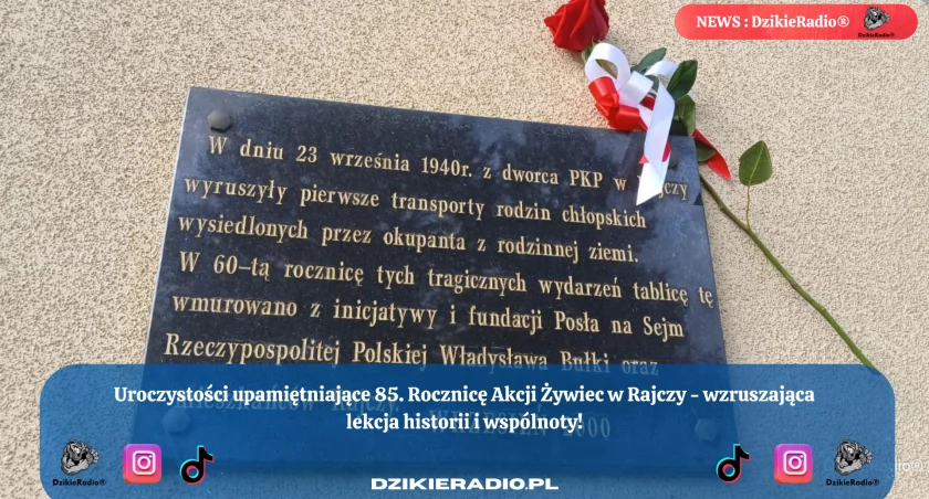 Fot. Dzikieradio.pl