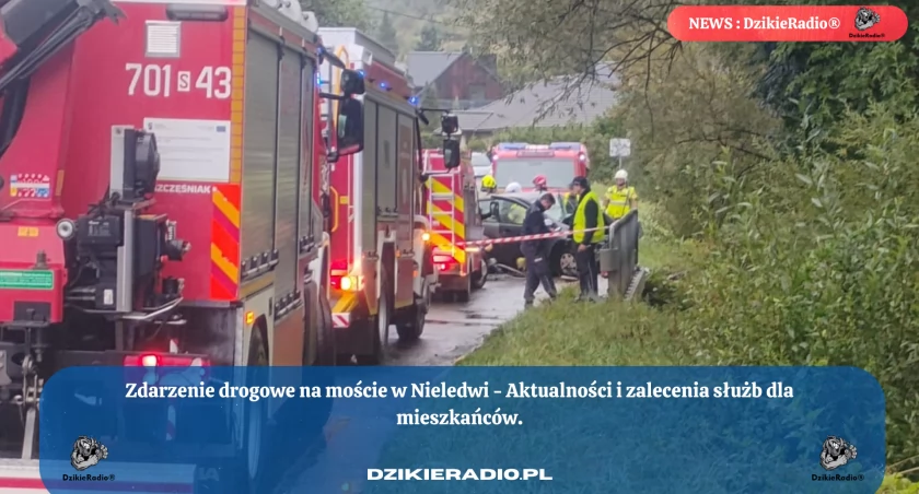 Fot. DzikieRadio®