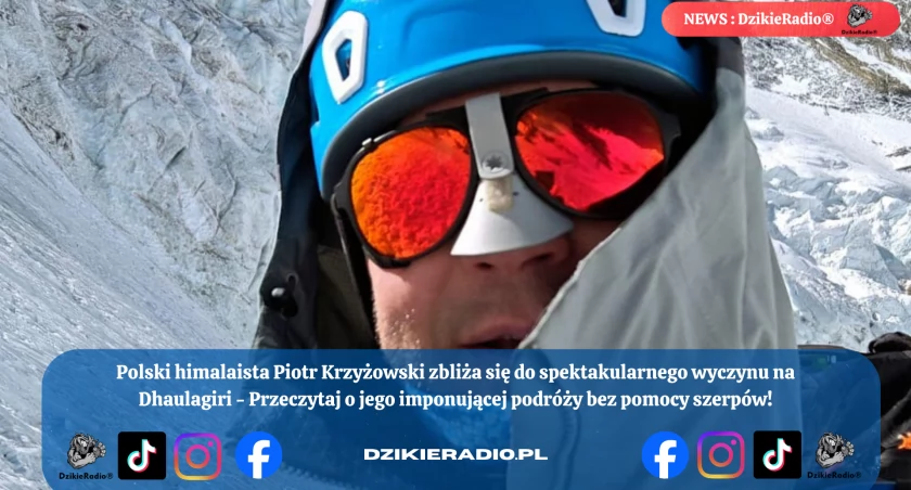 Fot. Piotr Krzyżowski 