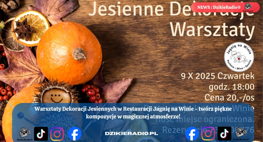 Fot. Jagnię na Winie