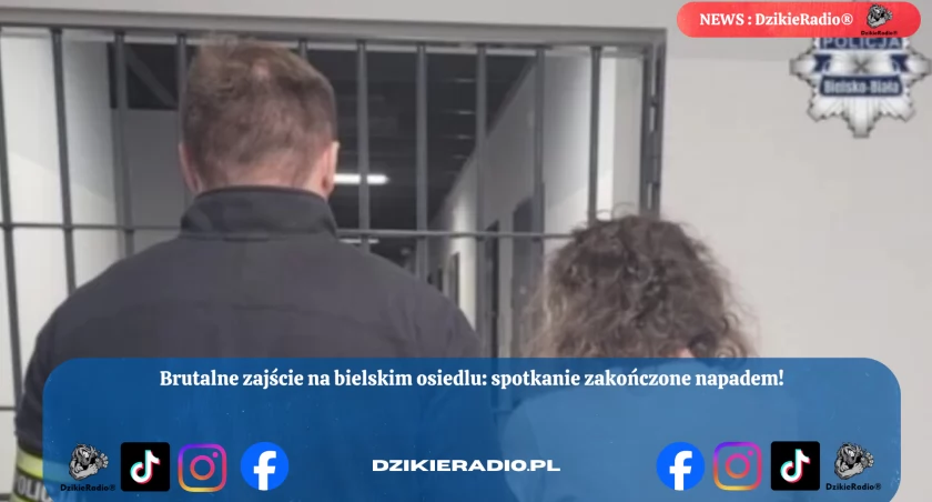 Fot. Policja Bielsko - Biała