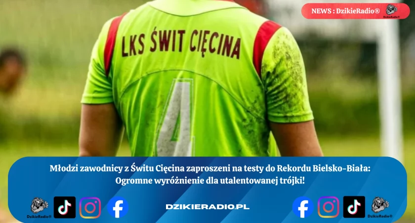 fot. Świt Cięcina