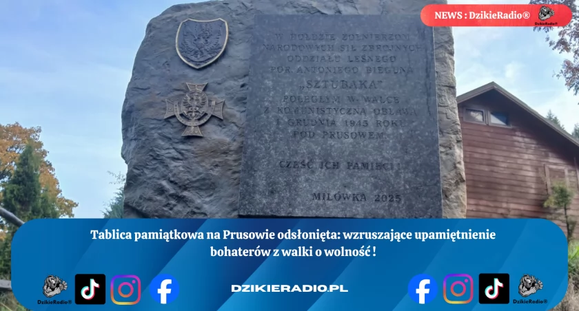 Fot. Dzikieradio.pl