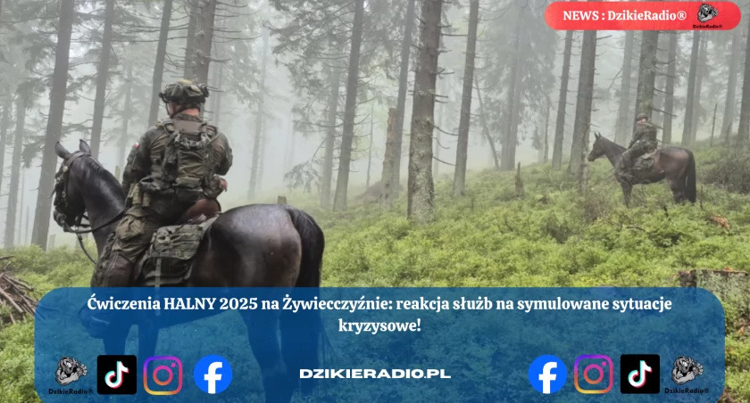 Fot: Policja W Żywcu