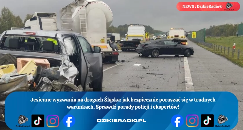 Fot. Policja Powiatu Żywieckiego