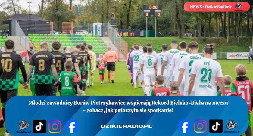 fot. Bory Pietrzykowice 