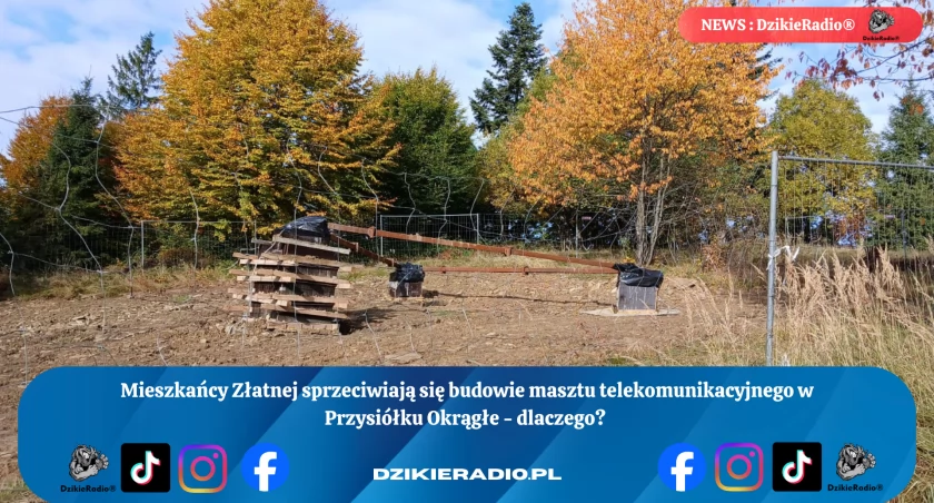 Fot: DzikieRadio®